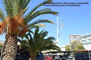 Alicante- Passeo et port 096